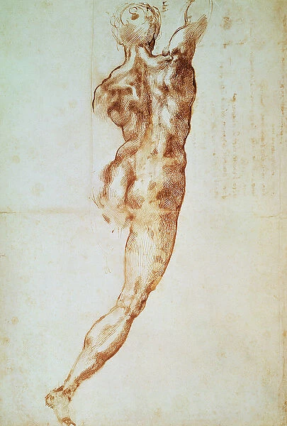 Nude, study for the Battle of Cascina (red chalk on paper)