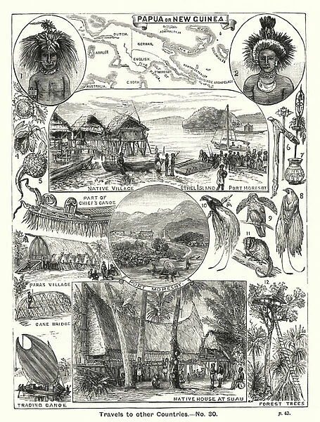 Papua or New Guinea (engraving)