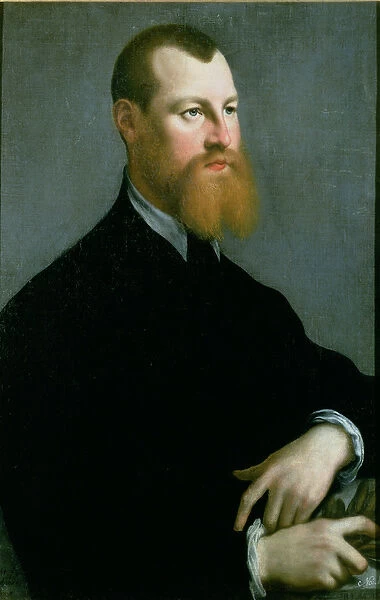 Portrait of a man with a ginger beard, 16th century (oil on canvas)