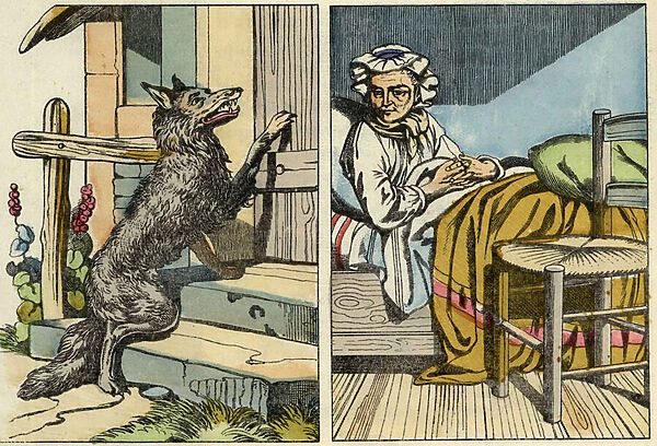 Wolf knocks at Grandmas door. Illustration of the tale '