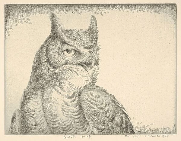 Horned Owl Portrait Great Horned 1940 Drypoint
