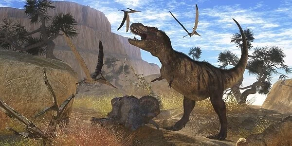 Tyrannosaurus Rex attempts to eat his Triceratops kill while Pteranodons harass him