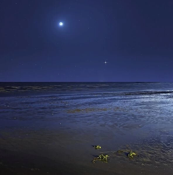 Venus shines brightly below the crescent Moon from coast of Buenos Aires, Argentina