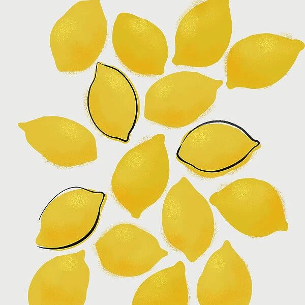 Lemons. Rosana Laiz Blursbyai