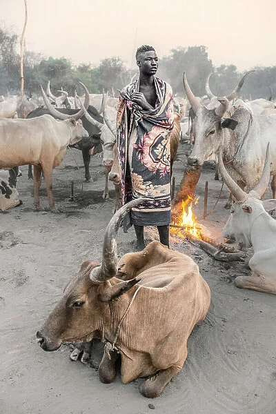 Mundari herder at dawn