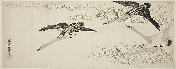 Descending Geese, c. 1830. Creator: Ando Hiroshige