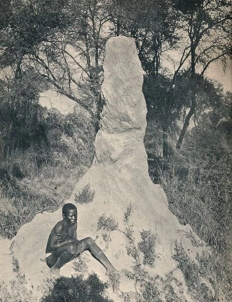 One of the Giant Ant Heaps peculiar to some districts of South Africa, c1900. Creator: Unknown
