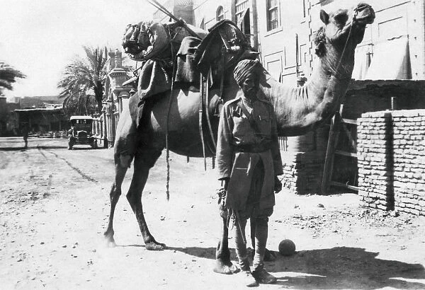 Indian camel trooper, Baghdad, 1918