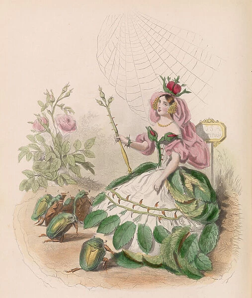 Les Fleurs Animees, 1867. Creator: Charles-Michel Geoffroy