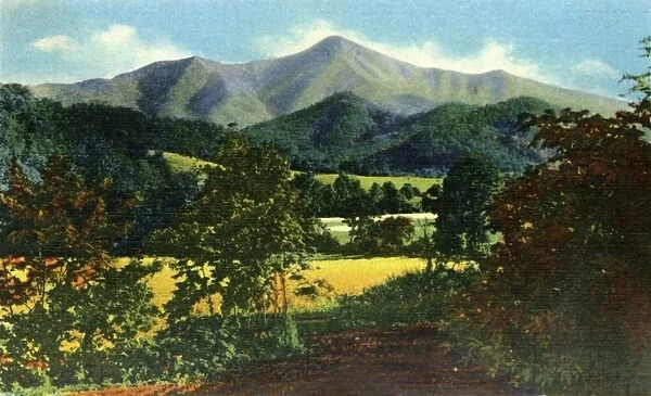 Mr. Pisgah, and the Rat in the Distance, Western North Carolina, 1942. Creator: Unknown
