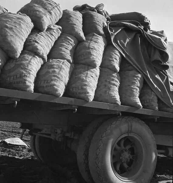 Truck loaded with potato seed, Kern County, California, 1939. Creator: Dorothea Lange