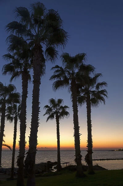 Silhouette Of Palm Trees At The Waters Edge With The Sun Setting Over The Sea; Paphos, Cyprus