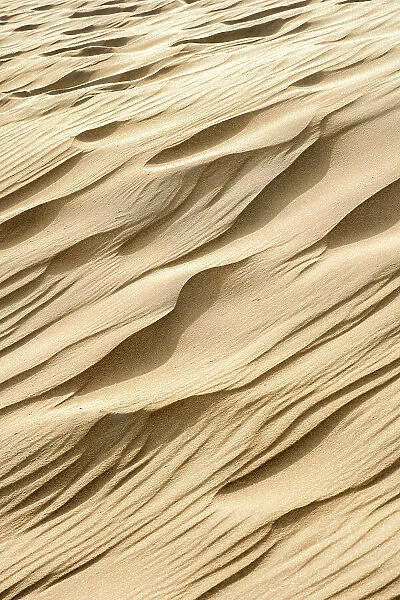 Patterns in the sand of the dunes, Kennemerduinen, Noord-Holland, The Netherlands