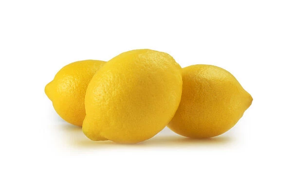 CS_2454. Citrus limon. Lemon. Yellow subject. White b / g