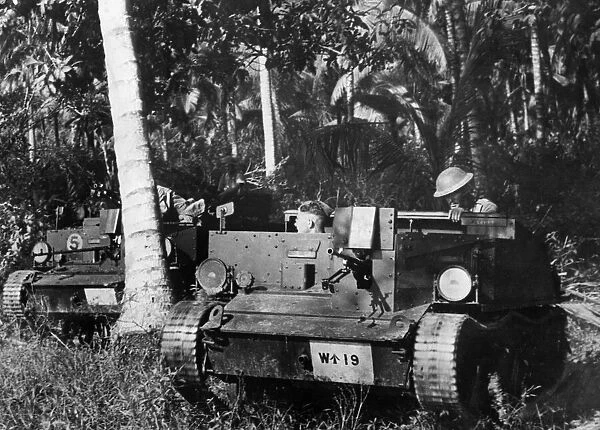 Defence of Malaya. Bren carriers manned by British troops advance through the Malayan