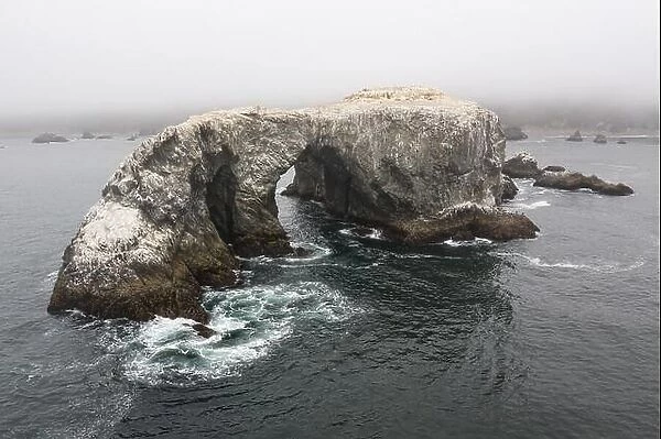 A massive sea stack, formed by the erosive powers of wind and water, rests near the wild, fog-covered coast of northern California