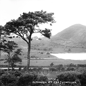 Altnadua Mt, Castlewellan