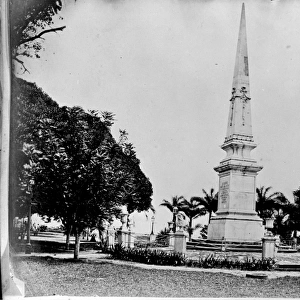 Bahia public gardens, Brazil, South America 1873