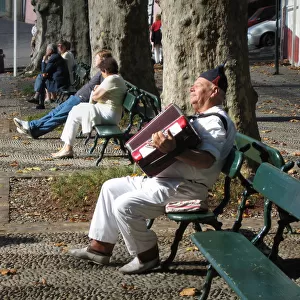 A blissful accordion player on a park bench in Maderia