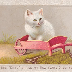Cat in wheelbarrow on a New Year card