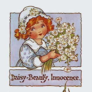 Daisy Beauty Innocence