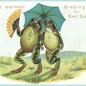 Two frogs with parasol on a Christmas card