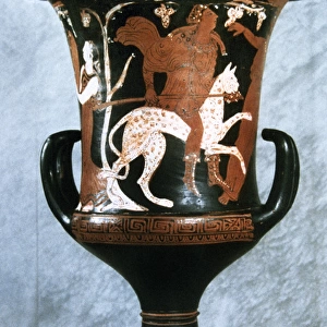 Greek art. Crater with red figures. Man riding on a panther