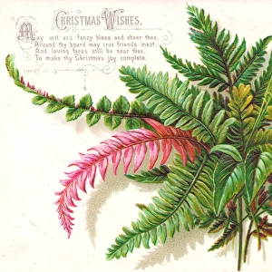 Green, brown and pink leaves on a Christmas card