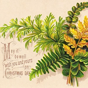 Green and yellow ferns on a Christmas card
