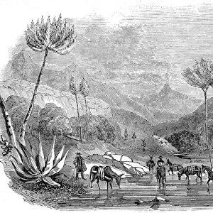 Mans Hand Mountain, Mexico, 1846
