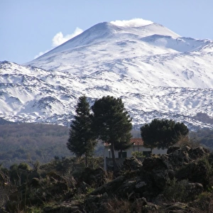 Mount Etna, with trees and a house, Sicily, Italy