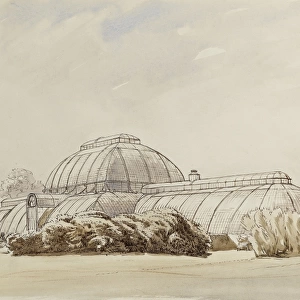 The Palm House, Kew Gardens, London