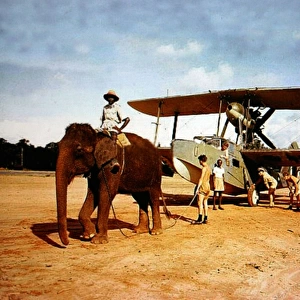Supermarine Walrus -seen being towed by elephant