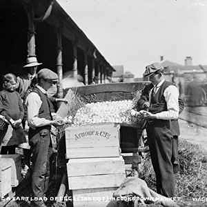 Unloading a Cartload of Eggs(70 Doz. ) in Cookstown Market