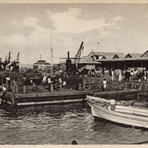 Wharfs, docks and sheds, Beira, Mozambique, East Africa