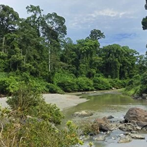 Segama river at lowland rainforest of Danum Valley Conservation Area - Sabah - Borneo - Malaysia