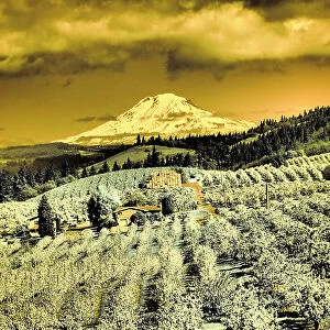 USA, Oregon, Columbia Gorge. Infrared of Spring orchards and Mount Rainier Date: 22-04-2021