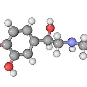 Adrenaline hormone molecule