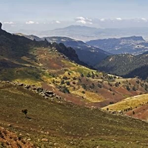 Bale Mountains foothills, Ethiopia C017 / 7615
