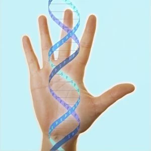 Hand and DNA molecule