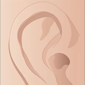 Human ear, artwork