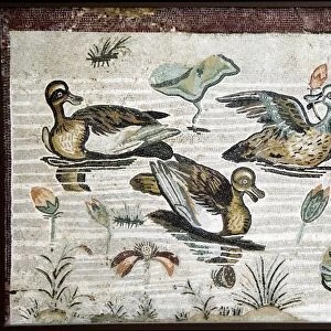 Nile flora and fauna, Roman mosaic