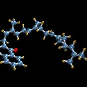 Vitamin K2, molecular model