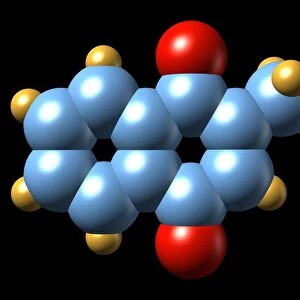 Vitamin K3, molecular model
