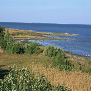 On the coast of Muhu, an island to the west of Tallinn, Muhu, Estonia, Baltic States
