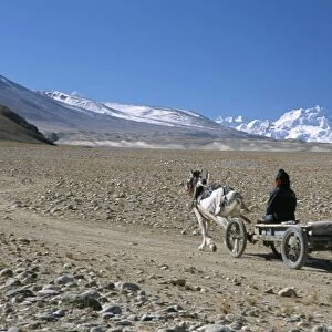 Farmer going home near Tingri, Cho Oyu and Himalayas in distance, Tibetan Plateau