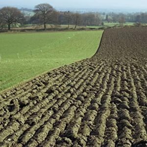 Fields between Llanarmon and Llanrhaeadr