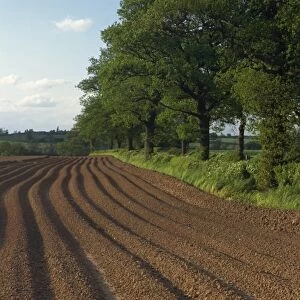 Furrows in a ploughed field near Coleshill in Warwickshire, England, United Kingdom