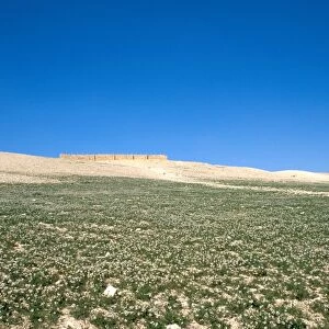 The Israelite fortress at Tel Arad in the Negev Desert, Israel, Middle East