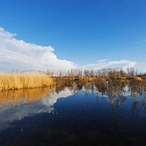 Lake Sevan, Gegharkunik province, Armenia, Caucasus, Central Asia, Asia